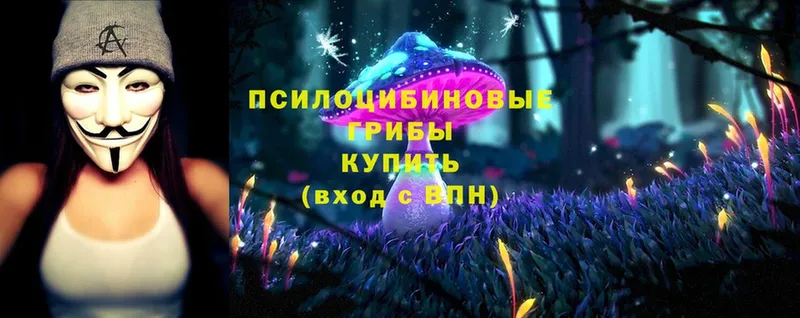 kraken tor  Бирюч  Псилоцибиновые грибы MAGIC MUSHROOMS 